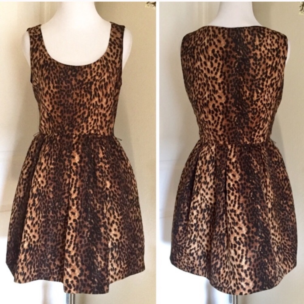 Zara Cheetah Dress/ Animal Print Dress